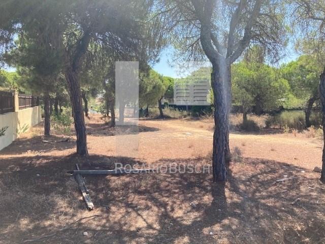 Terreno venda em Garrão, Loulé