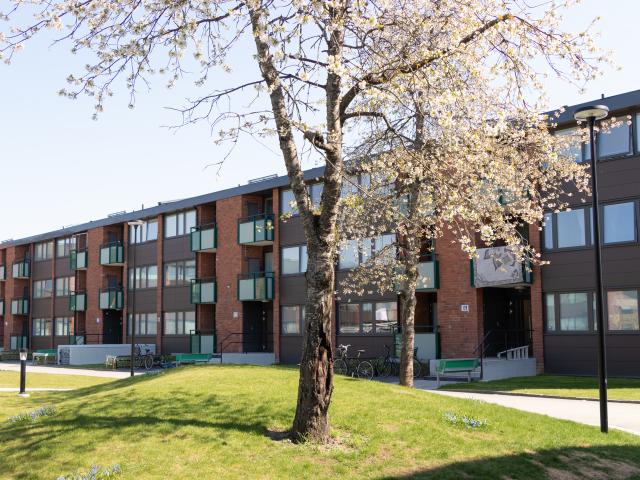 Hus hyra i Örebro