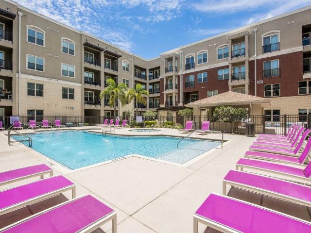 Apartment for rent in Tampa, Florida