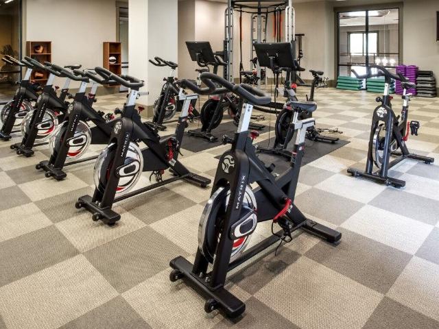 Apartment for rent in Tampa, Florida