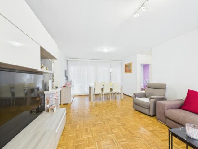 Wohnung kaufen in Agno, Tessin