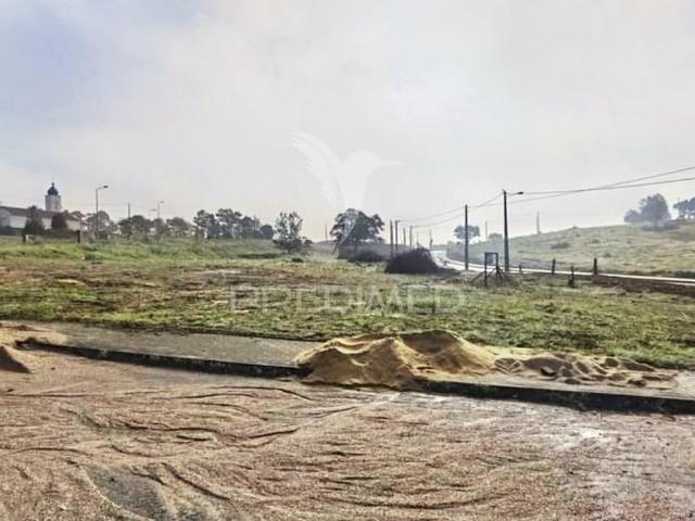Terreno venda em Torres Novas, Santarém