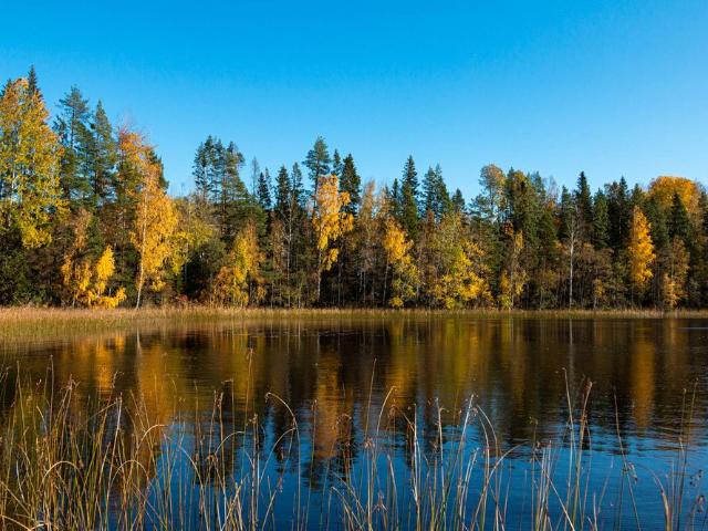 Lägenhet hyra i Gävleborg