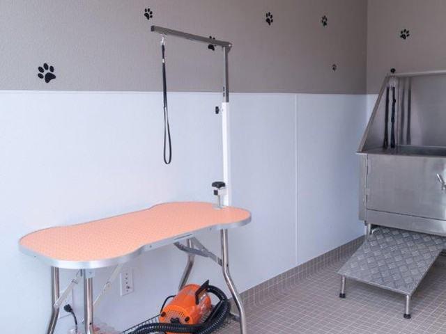 Apartment for rent in Sacramento, California