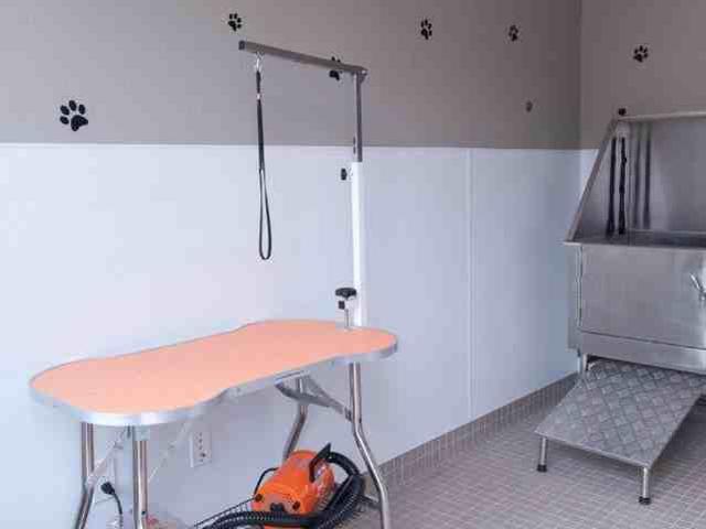 Apartment for rent in Sacramento, California