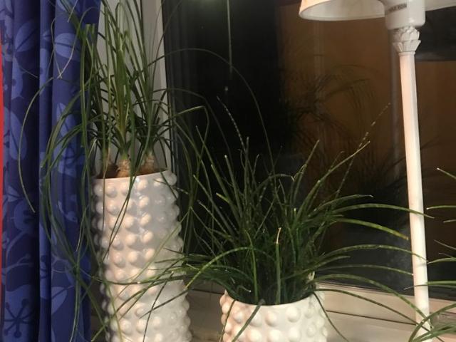 Rum hyra i Kungälv, Västra Götaland