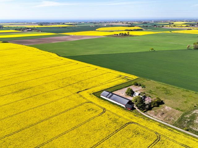 Gård till salu i Skåne