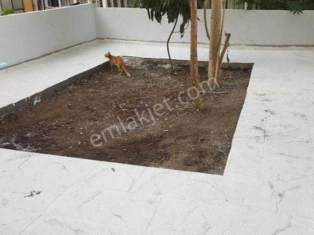 İstanbul Merkez, İstanbul içerisinde kiralık mülk