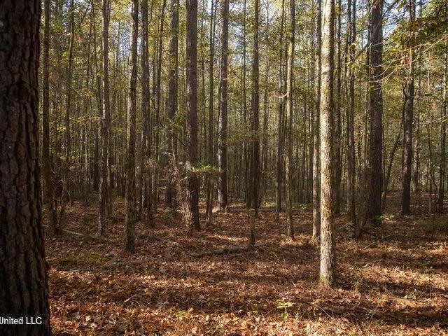 Land for sale in Vaughan, Mississippi