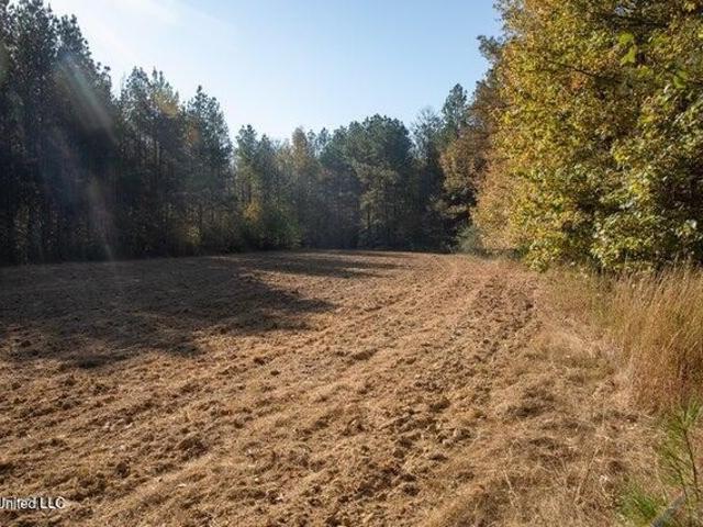 Land for sale in Vaughan, Mississippi