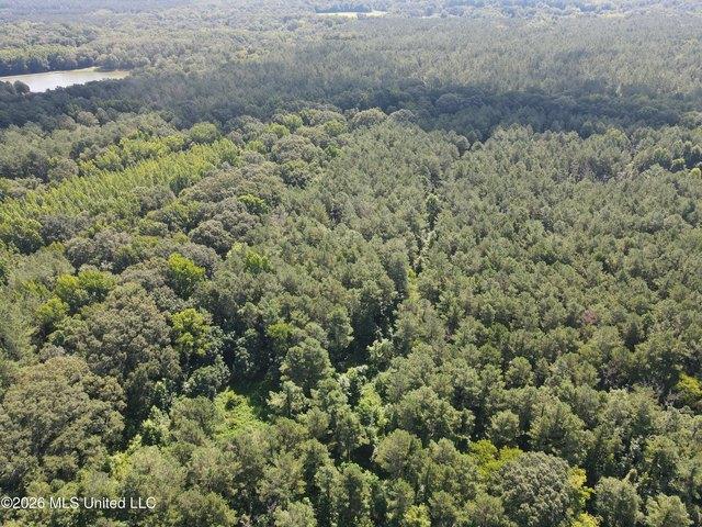 Land for sale in Vaughan, Mississippi