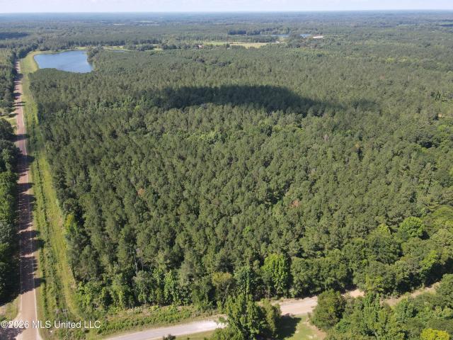 Land for sale in Vaughan, Mississippi