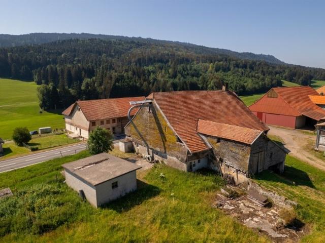 Bauernhaus kaufen in Vaulruz, District de la Gruyère