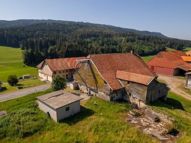 Landwirtschaft kaufen in Vaulruz, District de la Gruyère