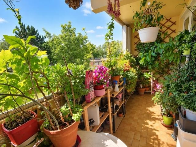 Appartement vente à Vaulx-en-Velin, Rhône