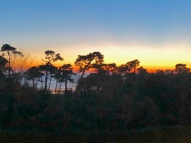 Appartement vente à France métropolitaine, Vaux-sur-mer