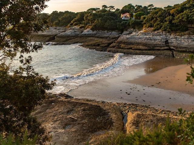 Terrain vente à Vaux-sur-mer