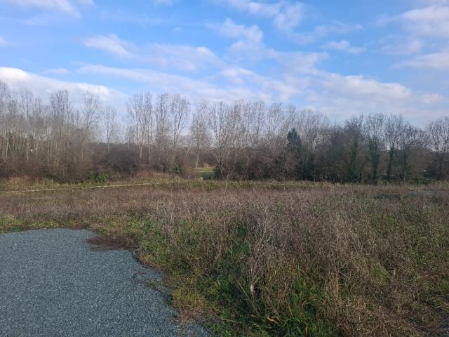 Terrain vente à Vaux-sur-mer