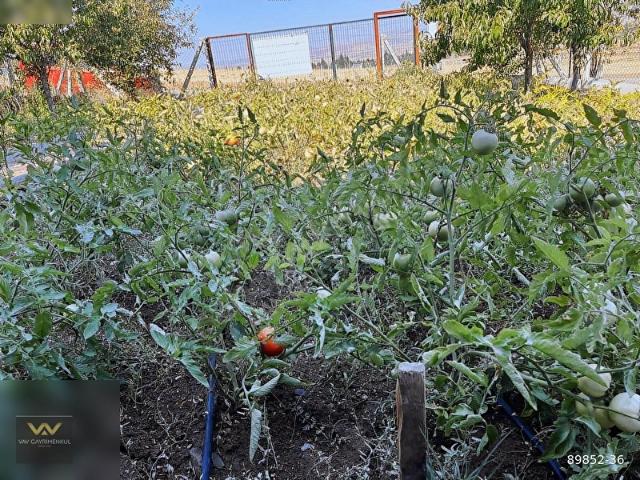 Akyurt, Ankara içerisinde satılık Villa