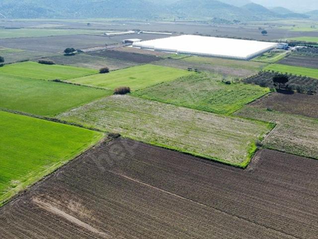 Dikili, İzmir içerisinde satılık Arsa