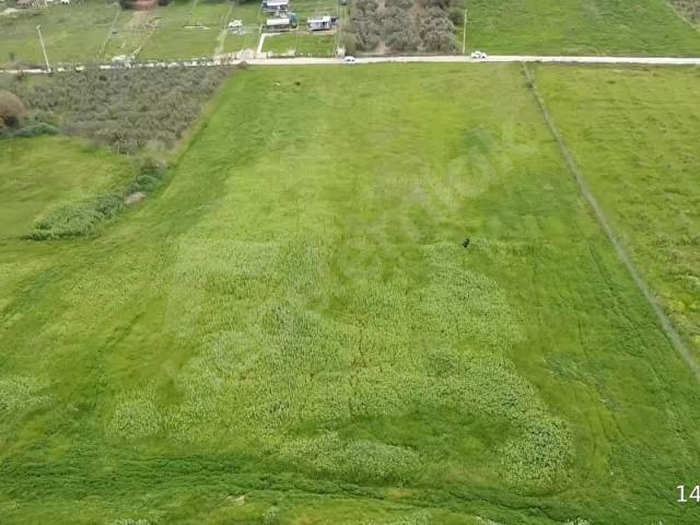 Foça, İzmir içerisinde satılık Arsa