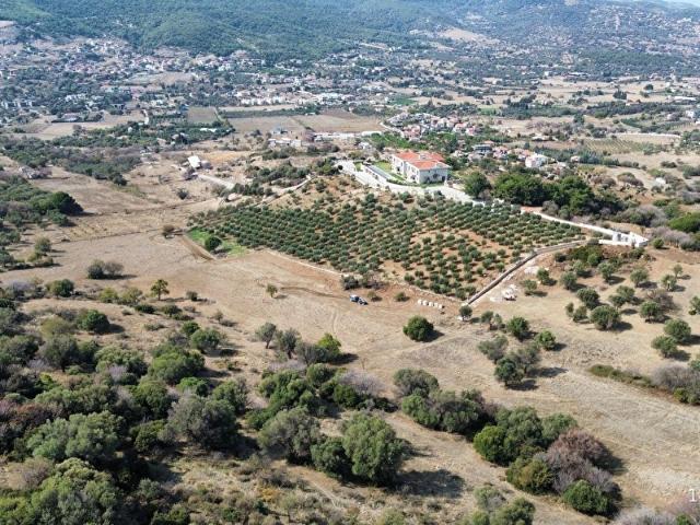 Foça, İzmir içerisinde satılık Arsa