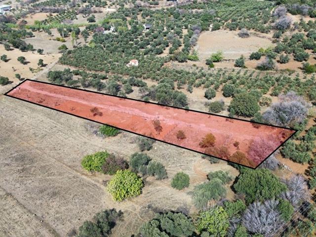 Foça, İzmir içerisinde satılık Arsa