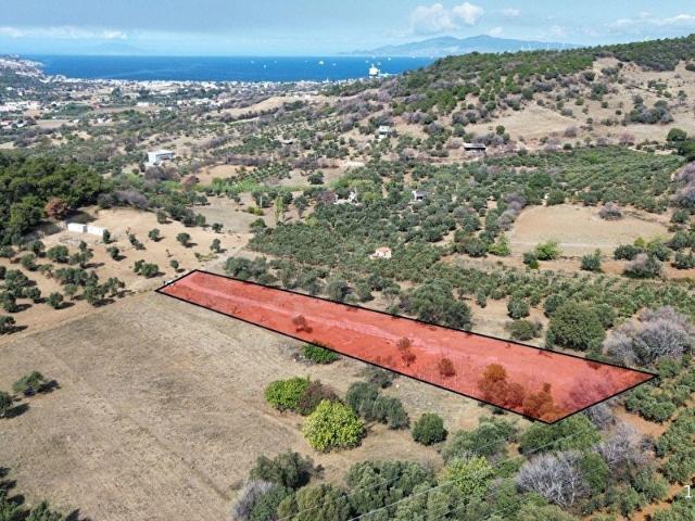 Foça, İzmir içerisinde satılık mülk