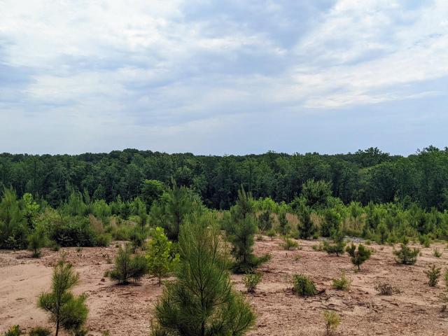 Land for sale in Virginia