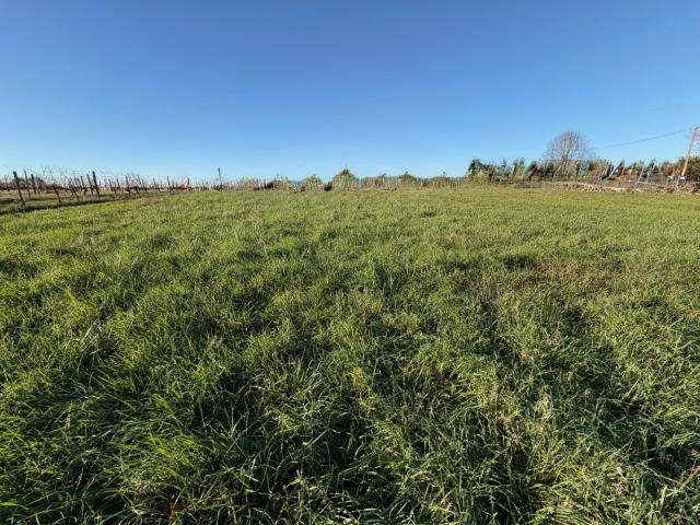 Terrain vente à Libourne, Vayres