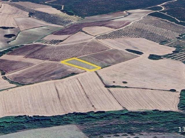 Mudanya, Bursa içerisinde satılık Arsa