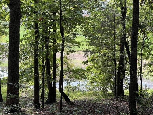 Land for sale in Kentucky