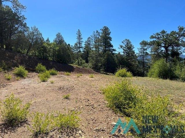 Land for sale in Chama, New Mexico