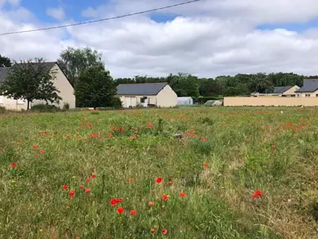 Terrain vente à Tours, Veigné