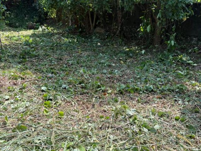 Land for sale in Thrissur, Kerala