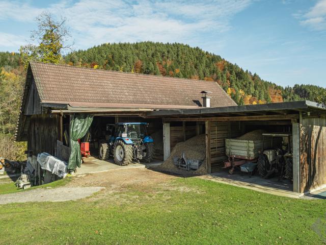 Landwirtschaft kaufen in Göriach, Kärnten