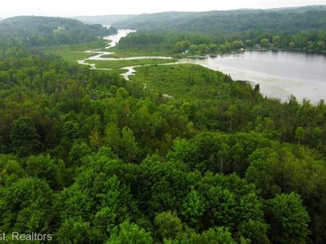 Land for sale in Central Lake, Michigan