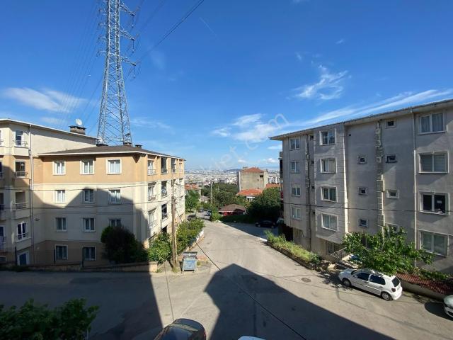Pendik, İstanbul içerisinde kiralık mülk