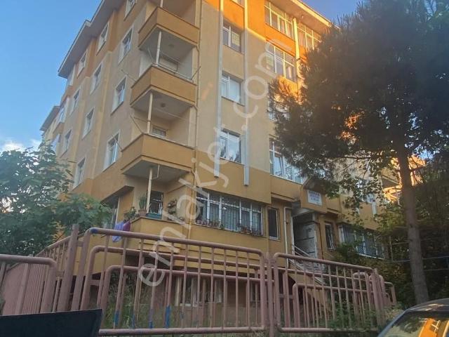 Pendik, İstanbul içerisinde kiralık mülk
