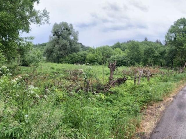 Участок продажа в Великих Дмитровичах, Винницкой области