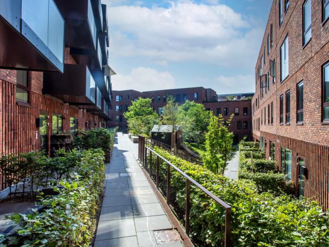 Lejlighed til leje i Teglgårdslund, Hillerød