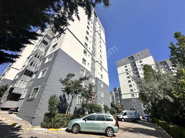 Beylikdüzü, İstanbul içerisinde kiralık mülk