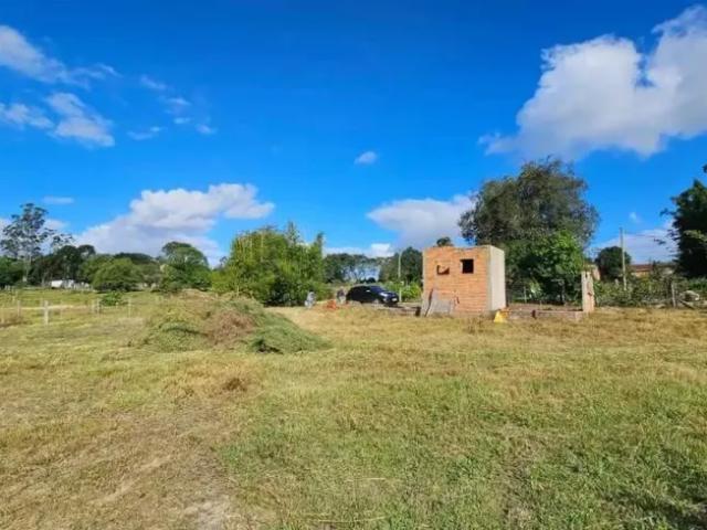 Fazenda venda em Sede, Viamão
