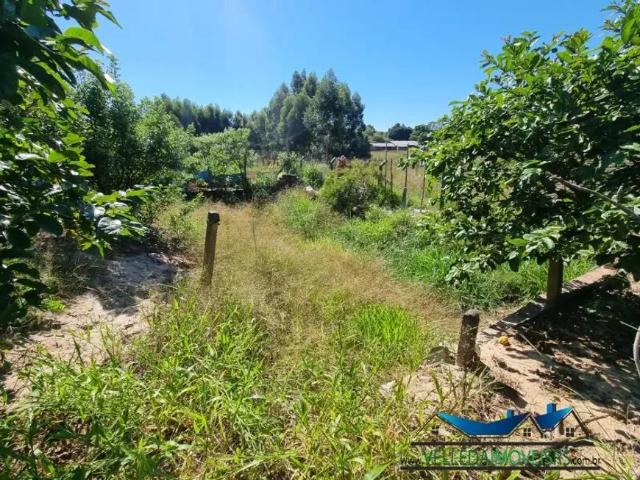 Fazenda venda em Região Geográfica Imediata de Porto Alegre, Região Metropolitana de Porto Alegre
