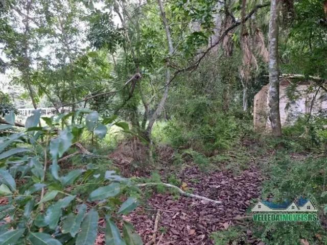 Fazenda venda em Região Geográfica Imediata de Porto Alegre, Região Metropolitana de Porto Alegre