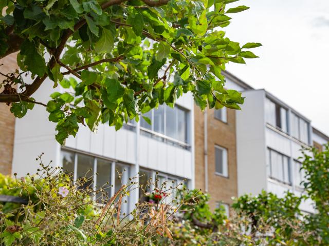 Hus hyra i Kristianstad, Skåne