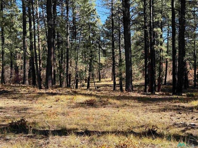 Land for sale in Chama, New Mexico