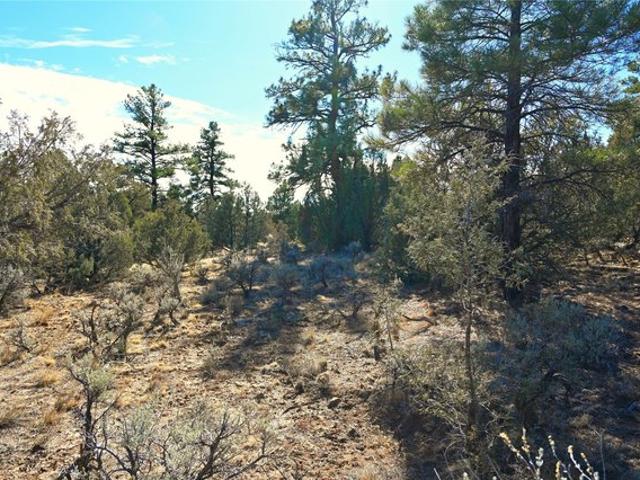 Land for sale in Tierra Amarilla, Rio Arriba County