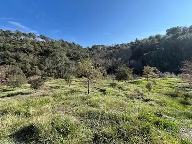 Terrain vente à Grasse, Vence