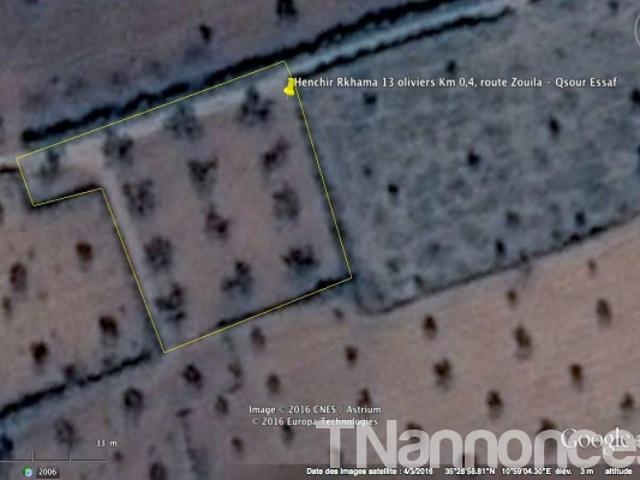 Terrain location